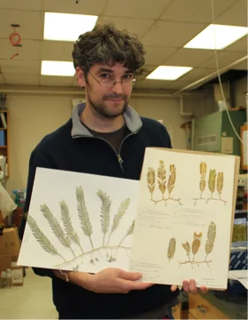 Thomas holding herbarium sheets of the western Atlantic endemics C. ashmeadii and C. floridana.