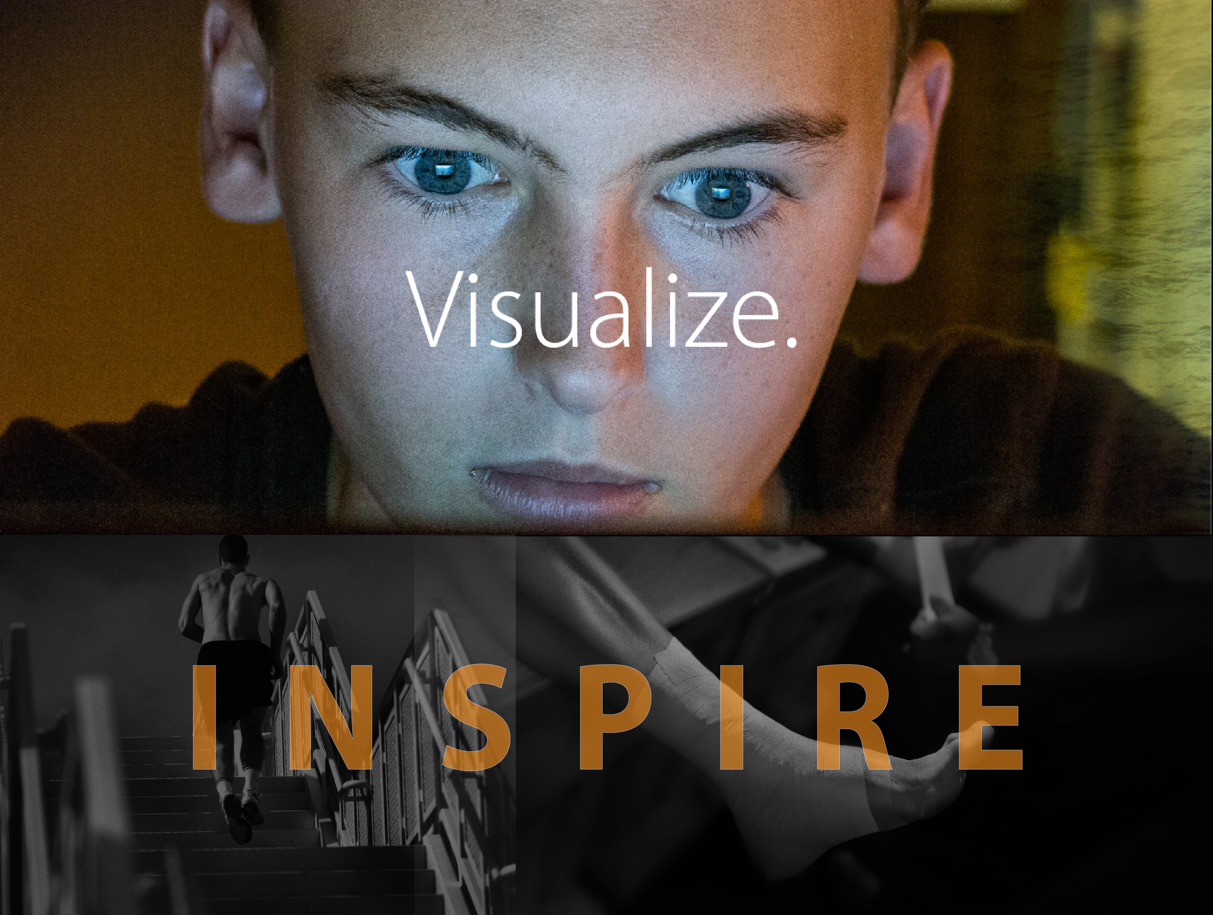 V-Inspire101.jpg