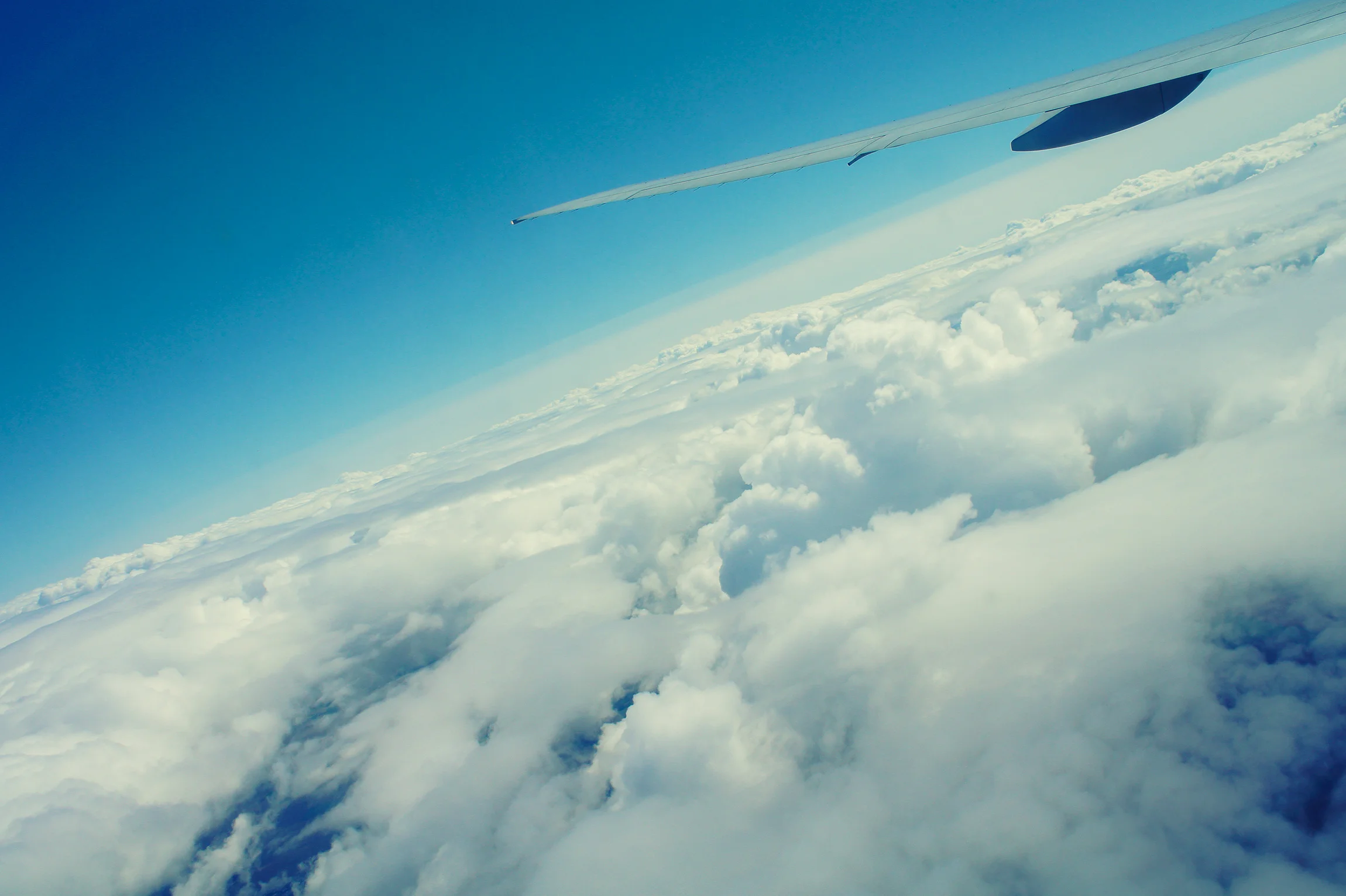 Wanderfly_back_plane.jpg