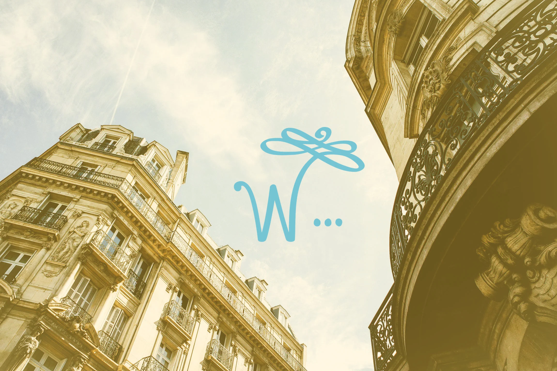 Wanderfly_back.Paris_Filter.jpg