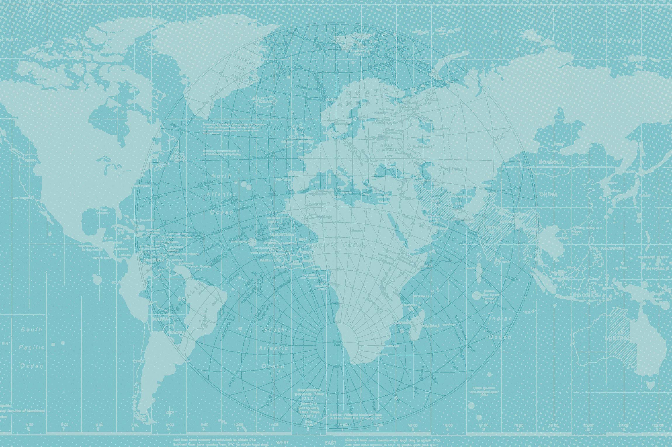 Wanderfly_back_blue.jpg