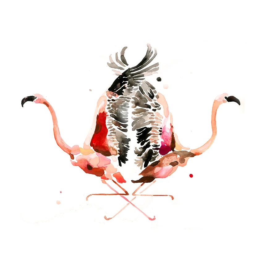 flamingos.jpg