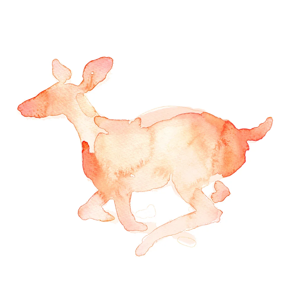 fleeting.jpg