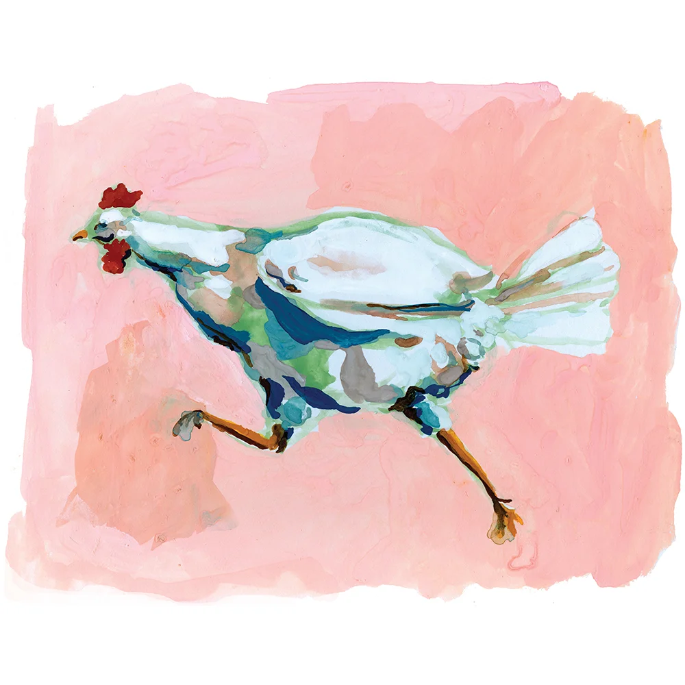 ChickenRun.jpg