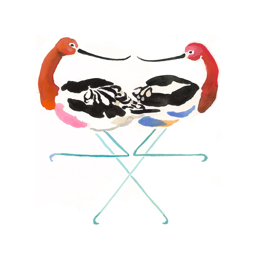 american-avocet.jpg