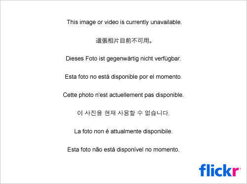 4460884504_3fdcf7cfa6.jpg
