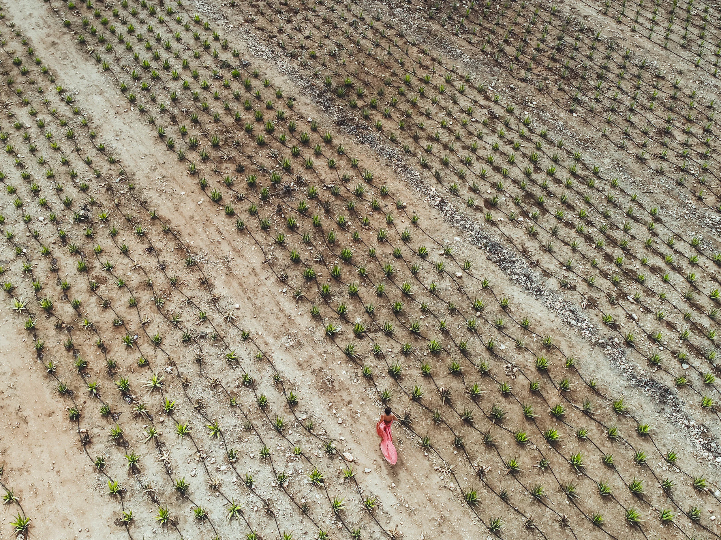 farm2-1 (1 of 1).jpg