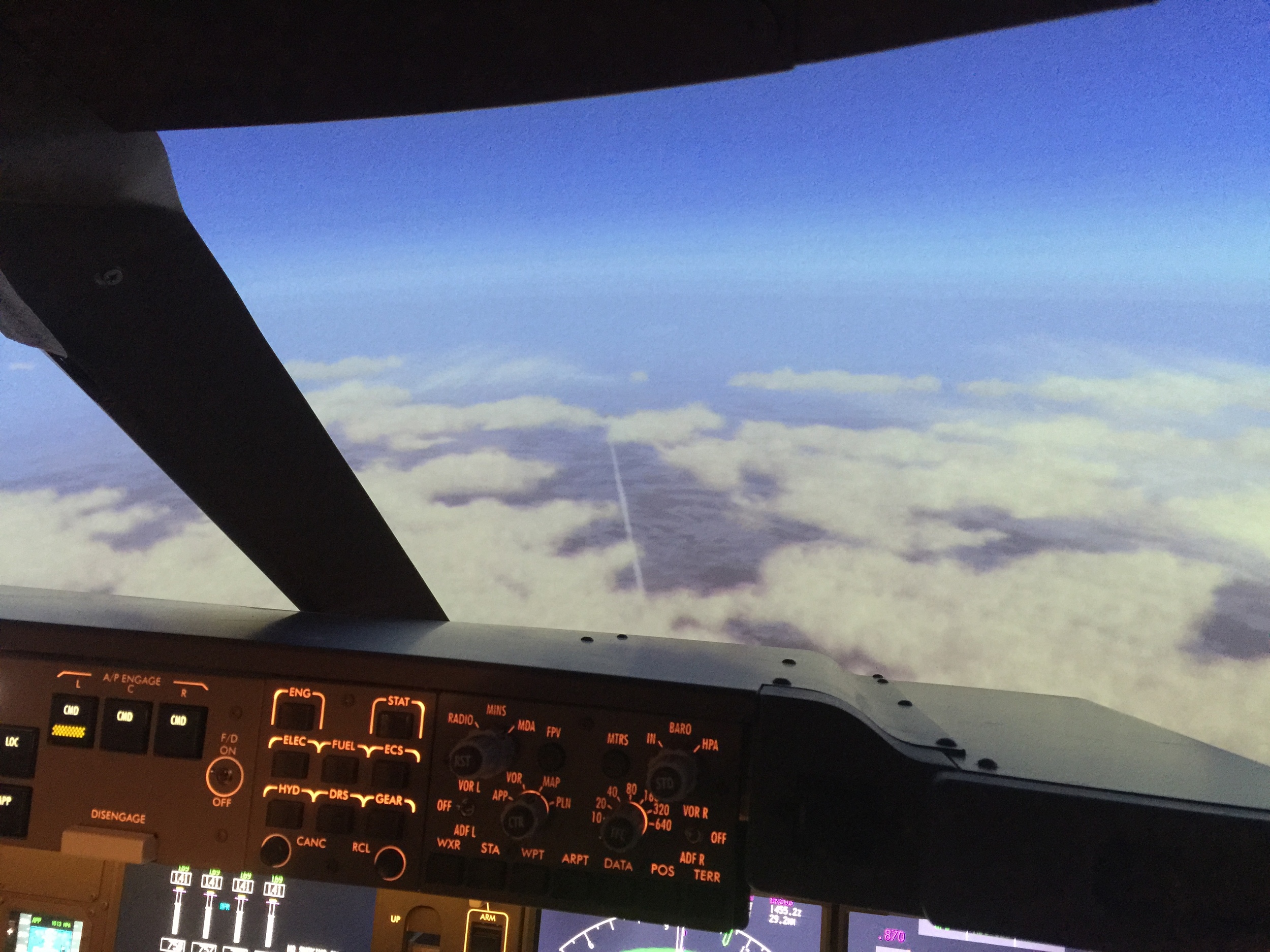 Mangrove 737 Simulator in cruise below us