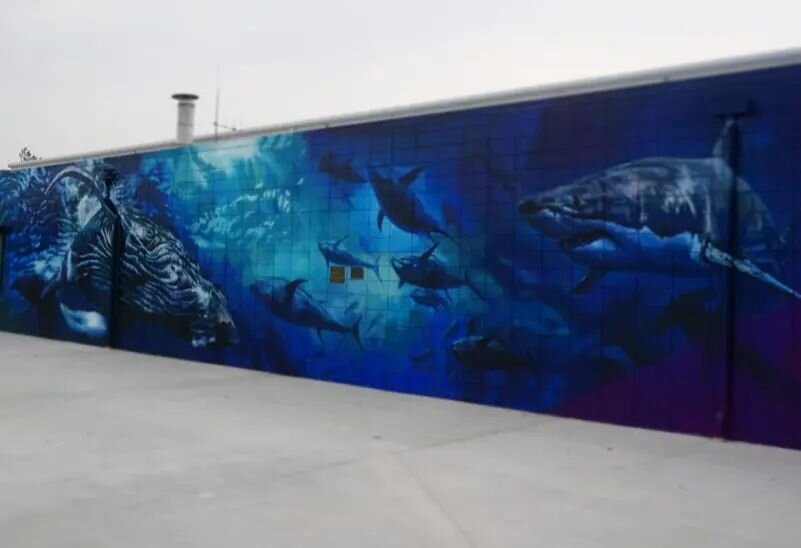 Our mural at the newly renovated pool in Fort Macleod, AB. It was well worth the +35&deg;C  weather! Good thing the cool ocean colours were so refreshing to paint. #waterart #seamural #streetart #albertaart #swimmingpool #fortmacleod #publicart #seal