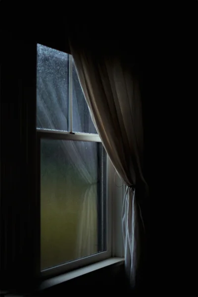 _IMG_9831_w.jpg