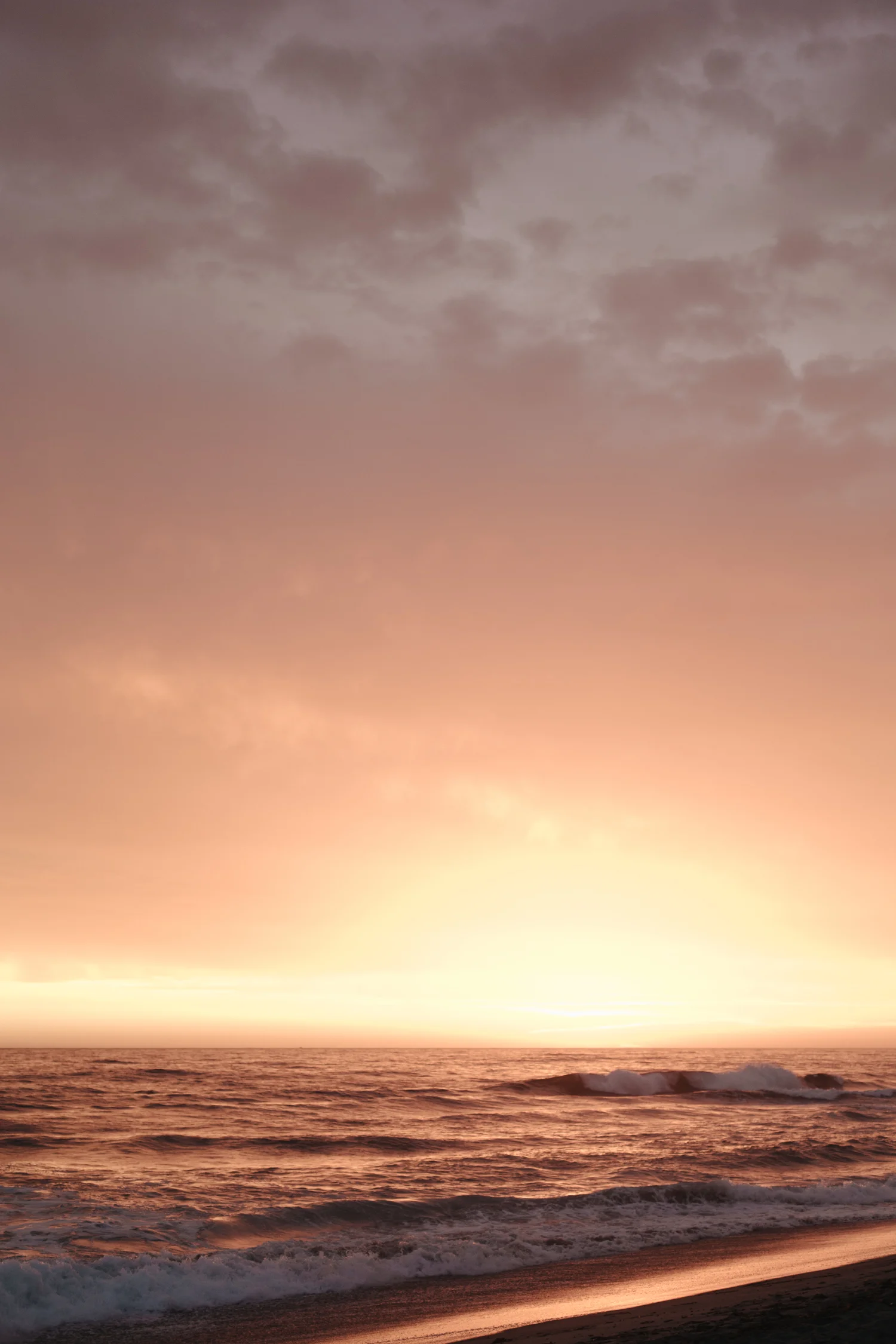 WD9A7519.jpg
