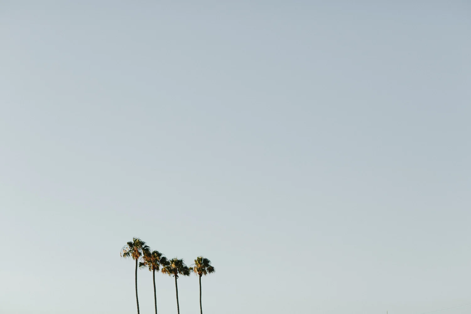 MKSadler_MTweb_00466.jpg