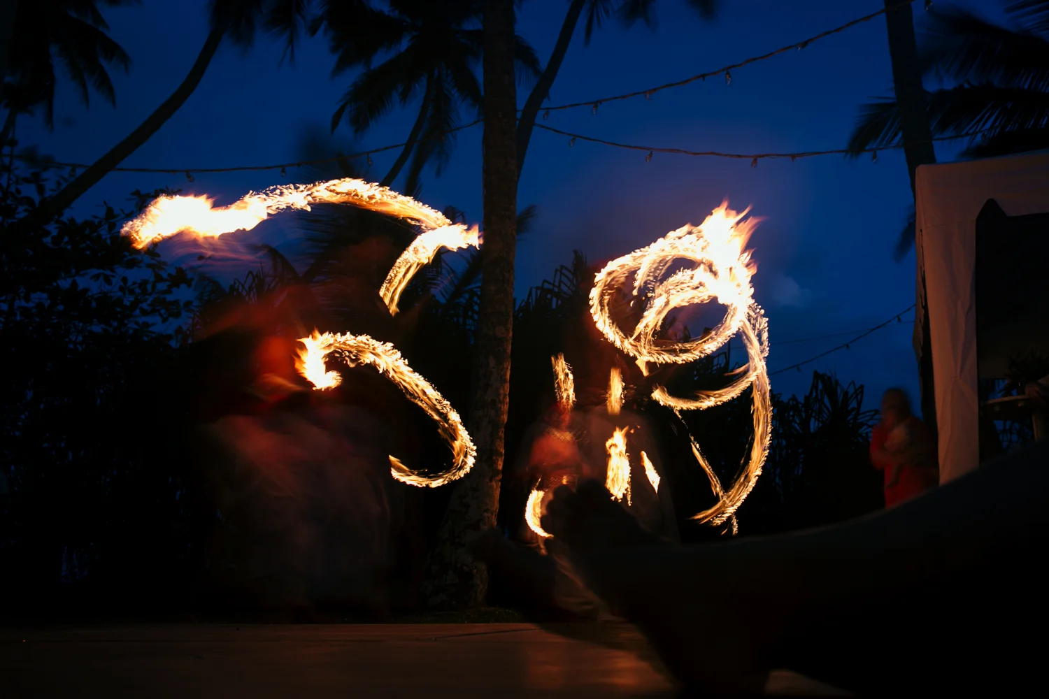 Tropicalheat049.jpg