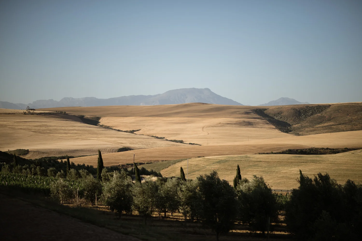 heisvisual-wedding-photographers-documentary-gabrielskloof-south-africa026.jpg