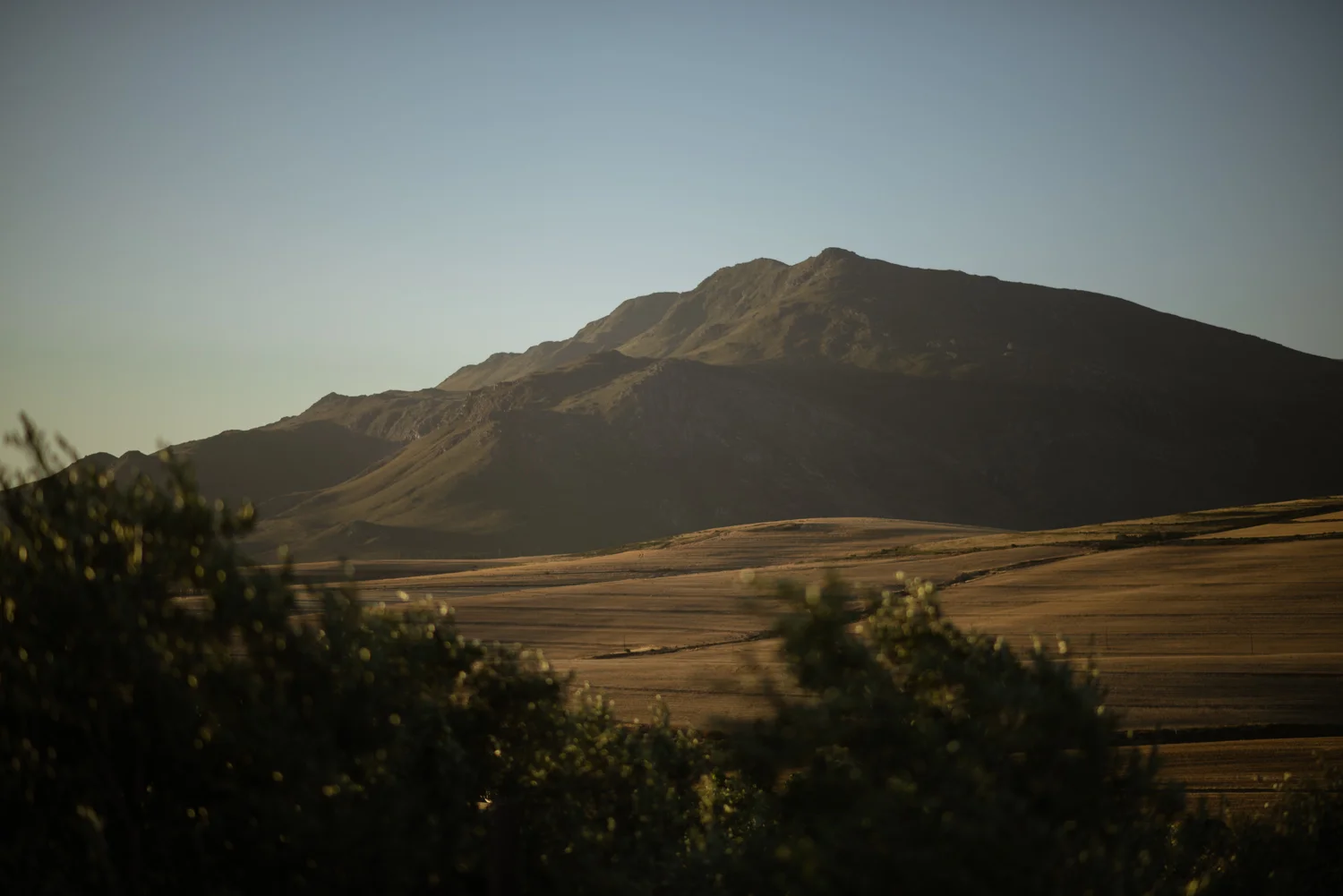 heisvisual-wedding-photographers-documentary-gabrielskloof-south-africa030.jpg