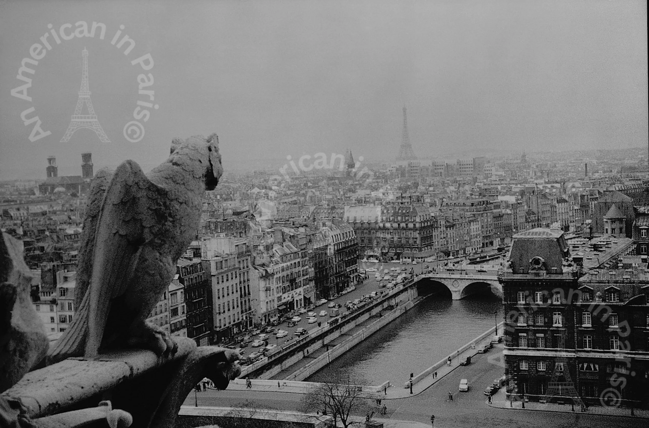 Paris Gargoyle.jpeg