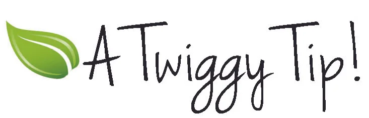 Twiggy tip.jpg