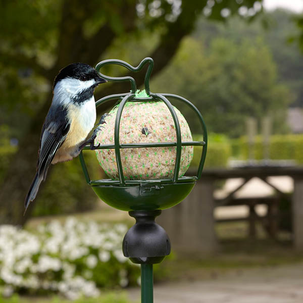 Our Products Peacock Garden Supports
