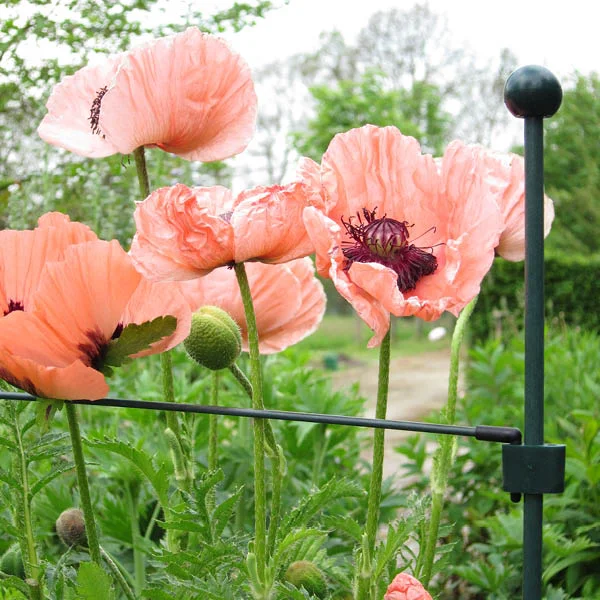 Our Products Peacock Garden Supports
