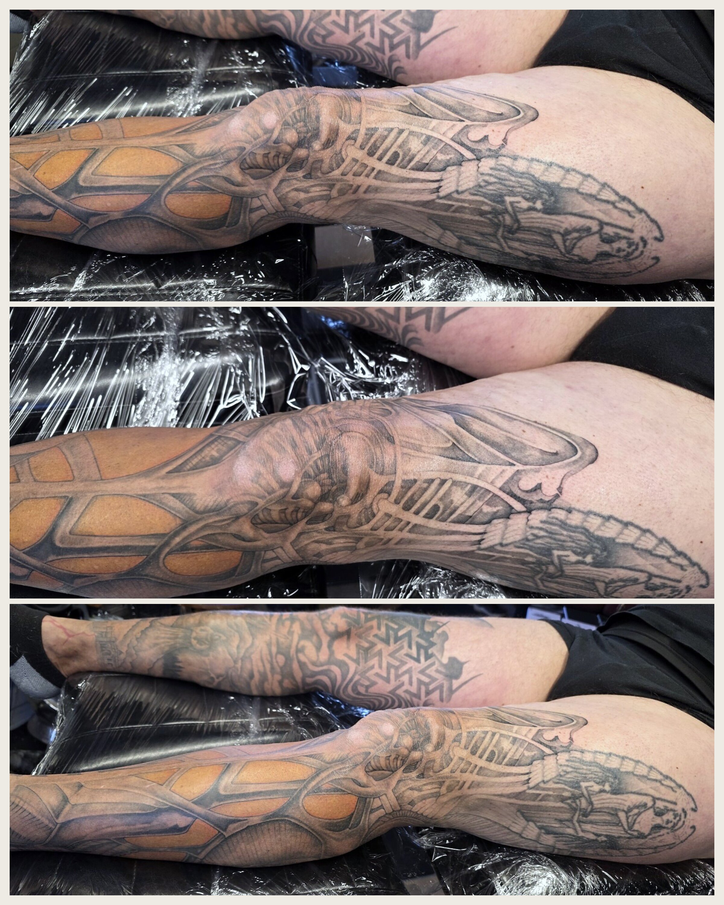 phoenix-tattoos-biomechanical-leg-display-2.jpg