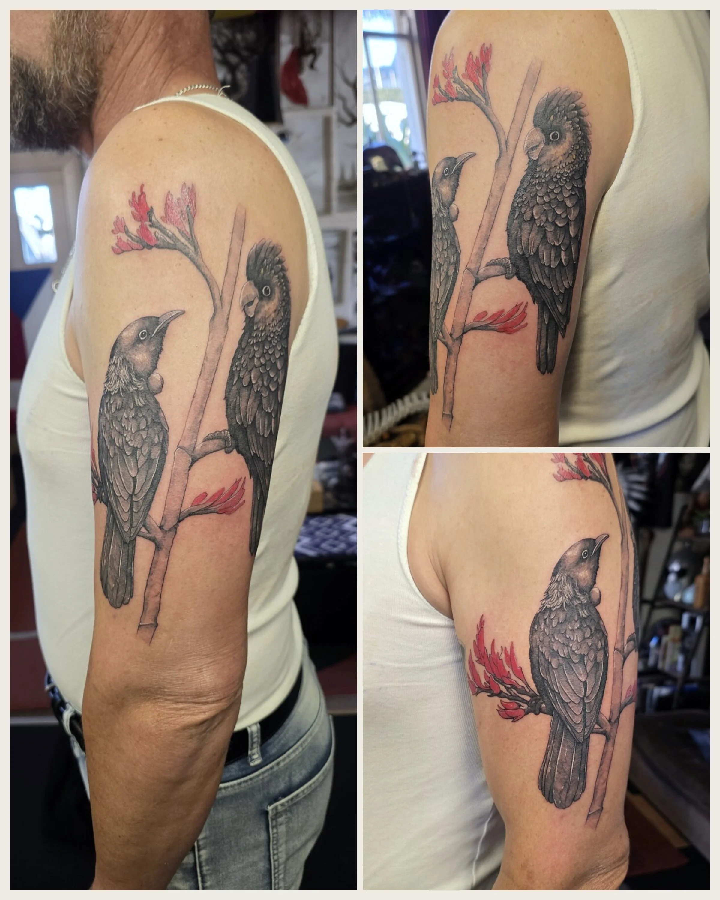 phoenix-tattoos-new-zealand-birds-display.jpg