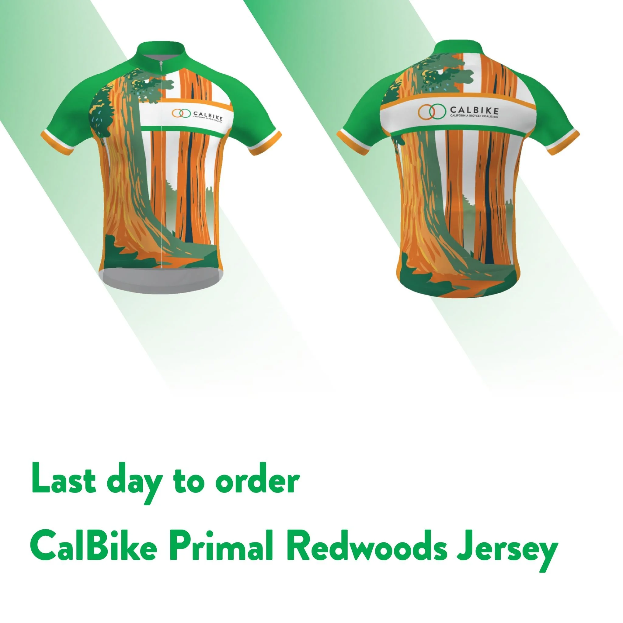Today is the last day to order from the CalBike Team Store. The Redwood Jersey, the cycling caps, the shorts &mdash; all of it closes tonight. There's something worth saying about a jersey that funds the work to make riding it safer. Every purchase c