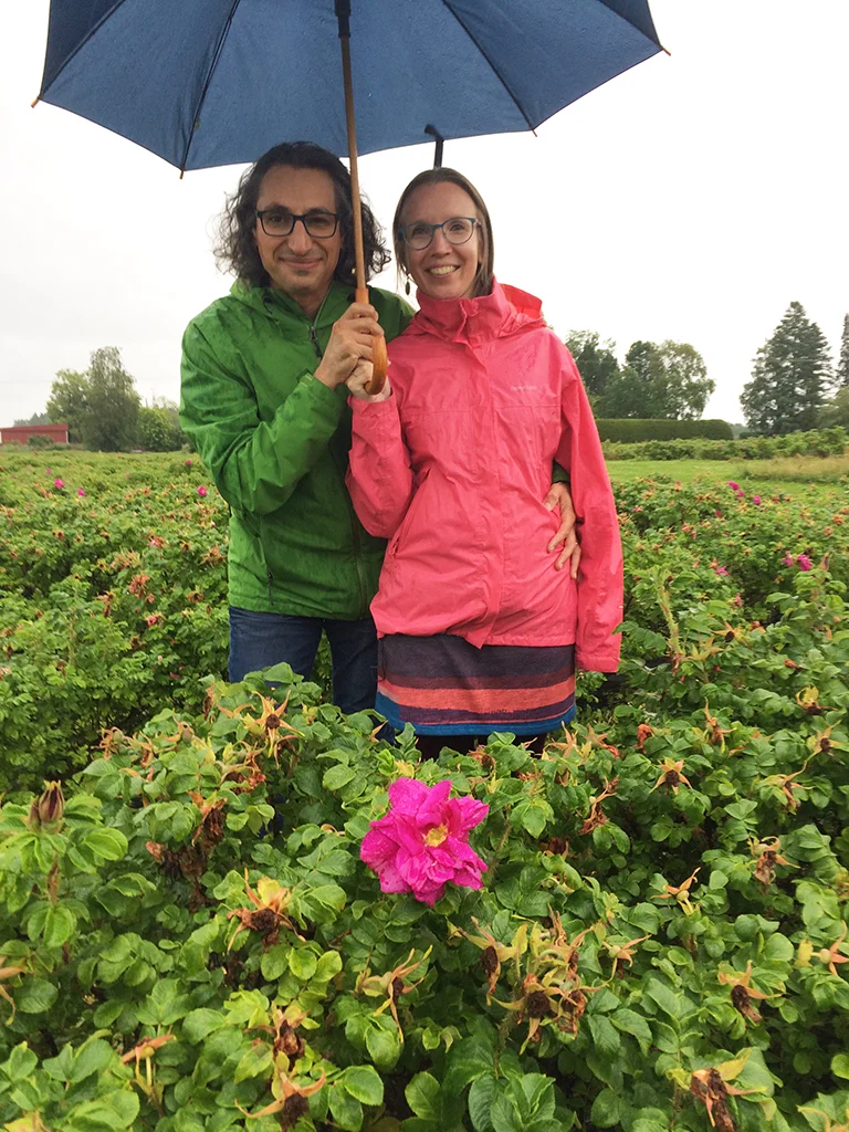 milla_vahid_rose_farm.jpg