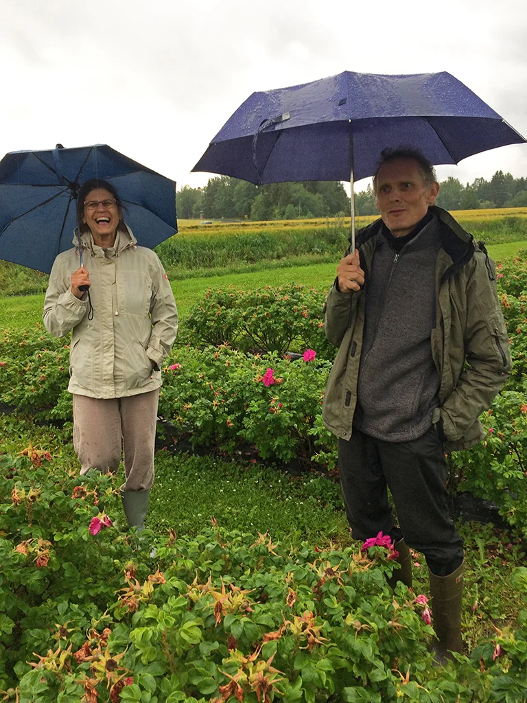 tuuli_matti_rose_farm.jpg