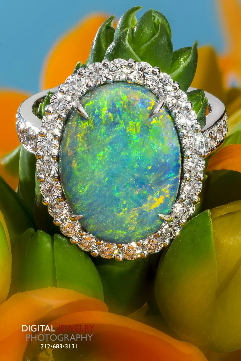 Opal Ring in Orange Flower.jpg