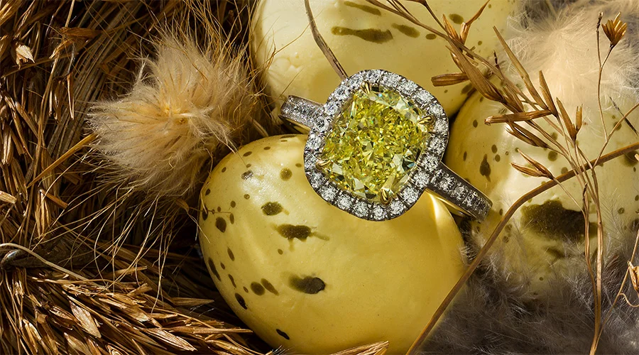 Yellow Diamond in Birds Nest Egg Lifestyle.jpg