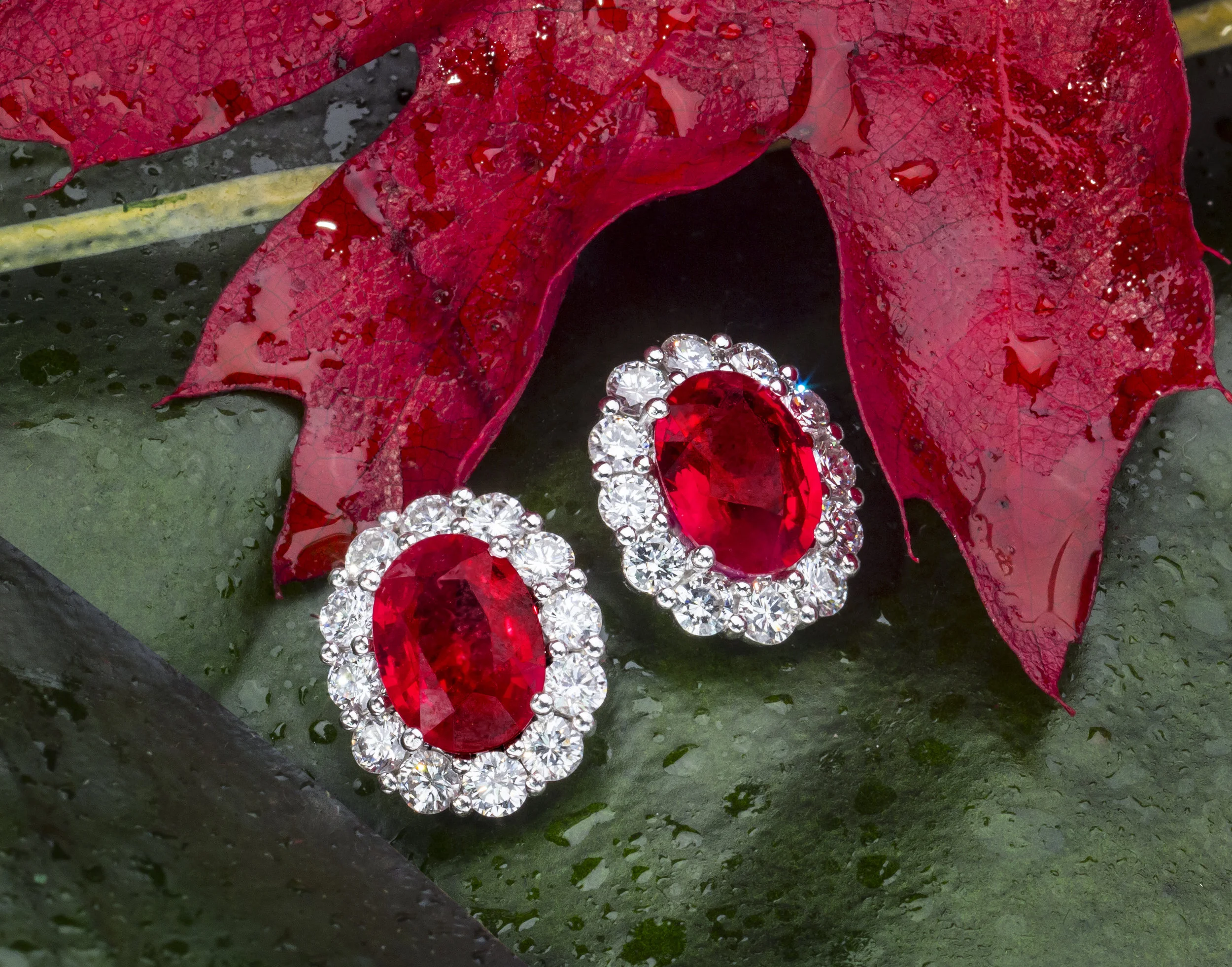 Ruby earrings on leaf.jpg