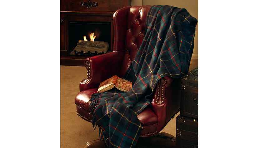 Medium_1152009123248AM_Leather Chair and blanket.jpg