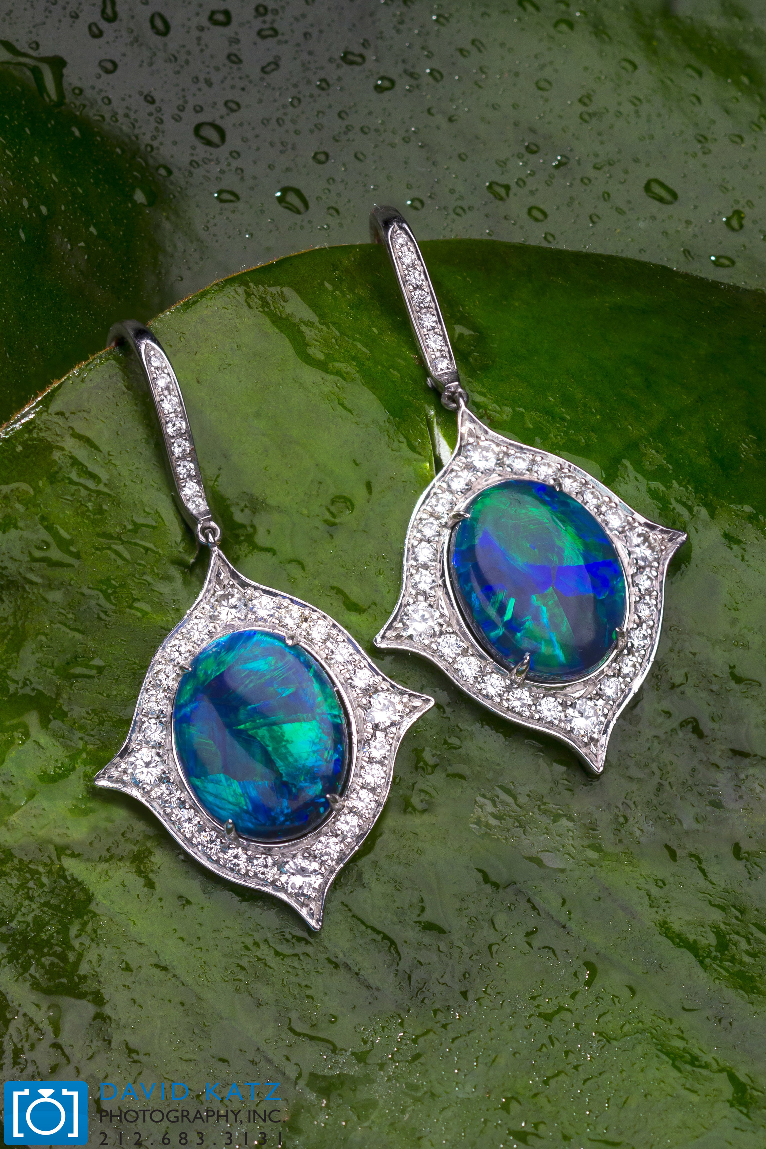 Opal Earrings on Leaf2_NEWLOGO.jpg