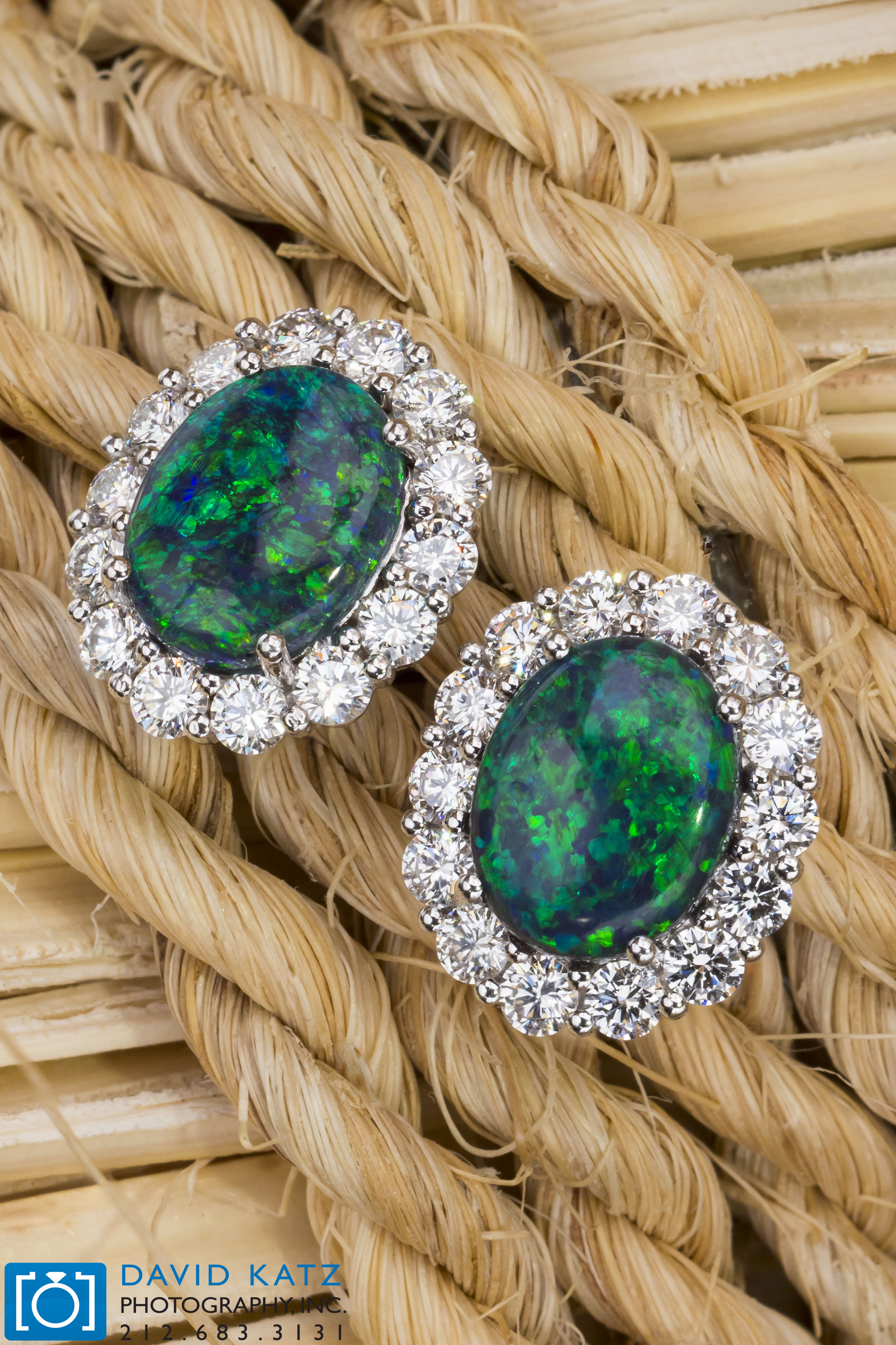 Opal Earrings_NEWLOGO.jpg