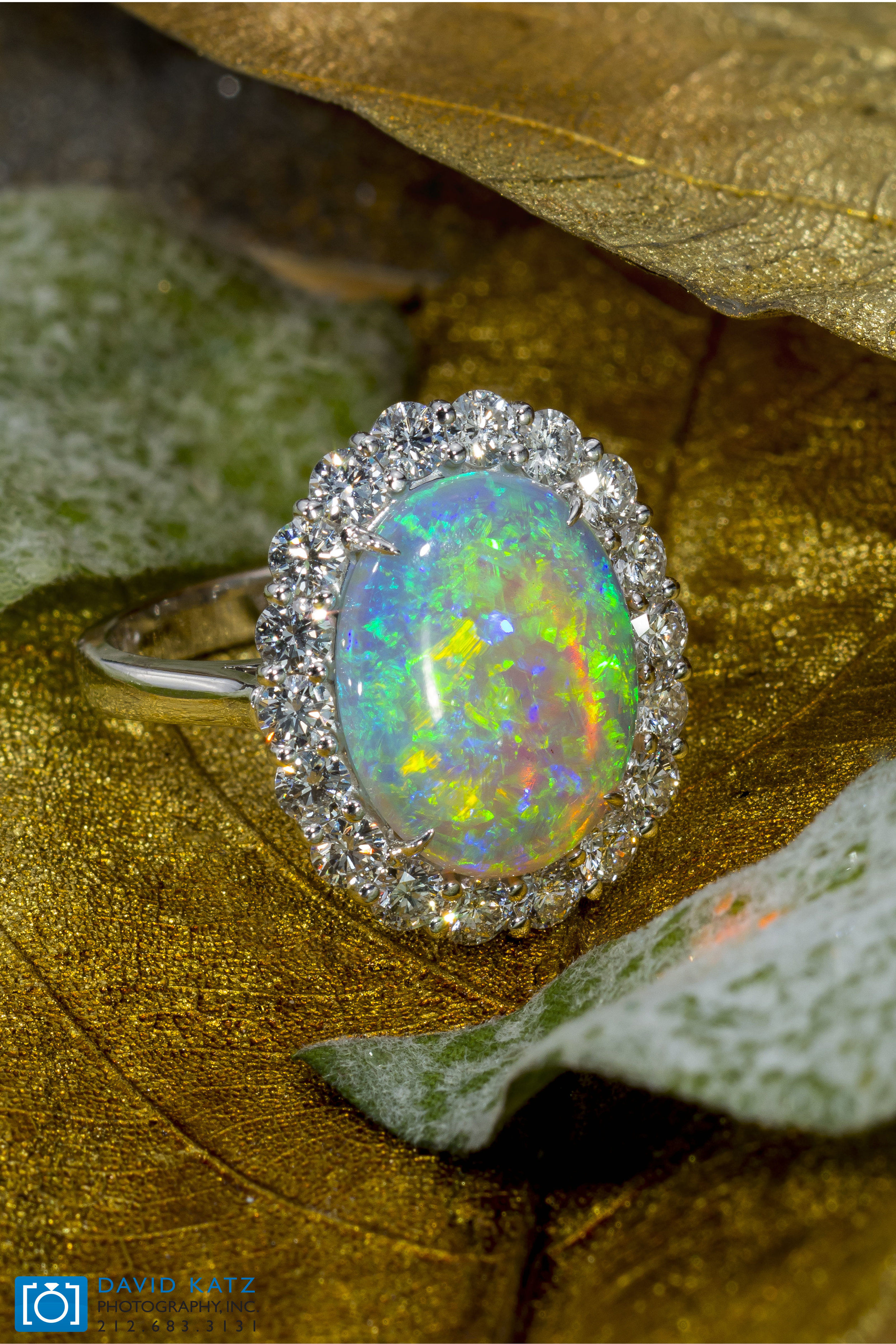 Opal Ring on Leaf_NEWLOGO.jpg