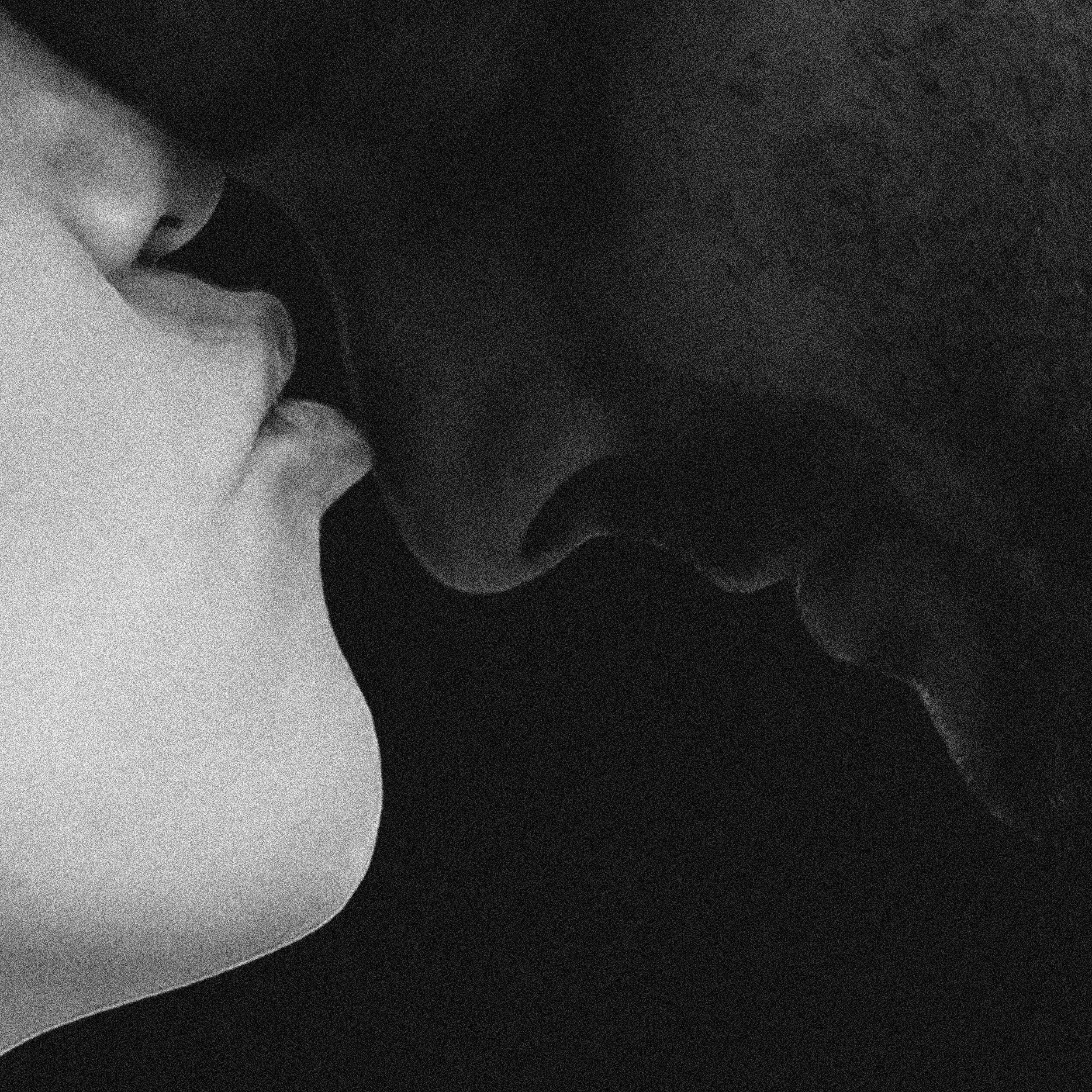 Hera_Do it_NOTEXT.jpg