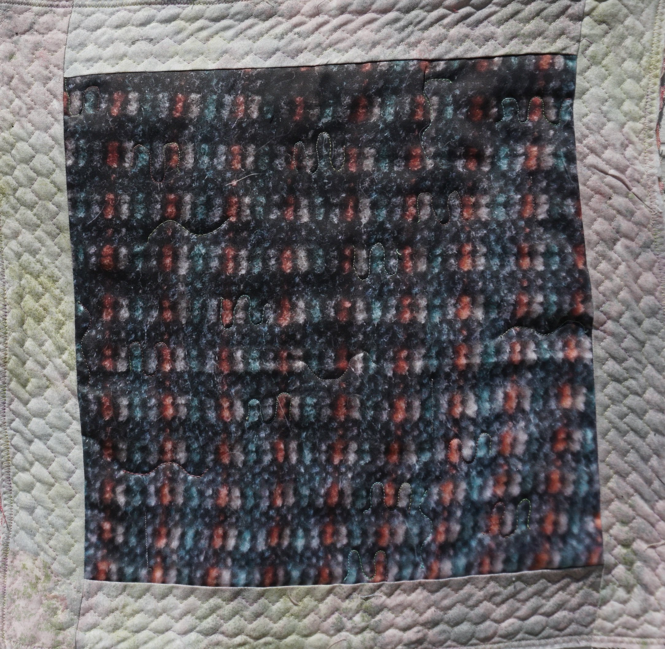 ECHOS CROP.jpg