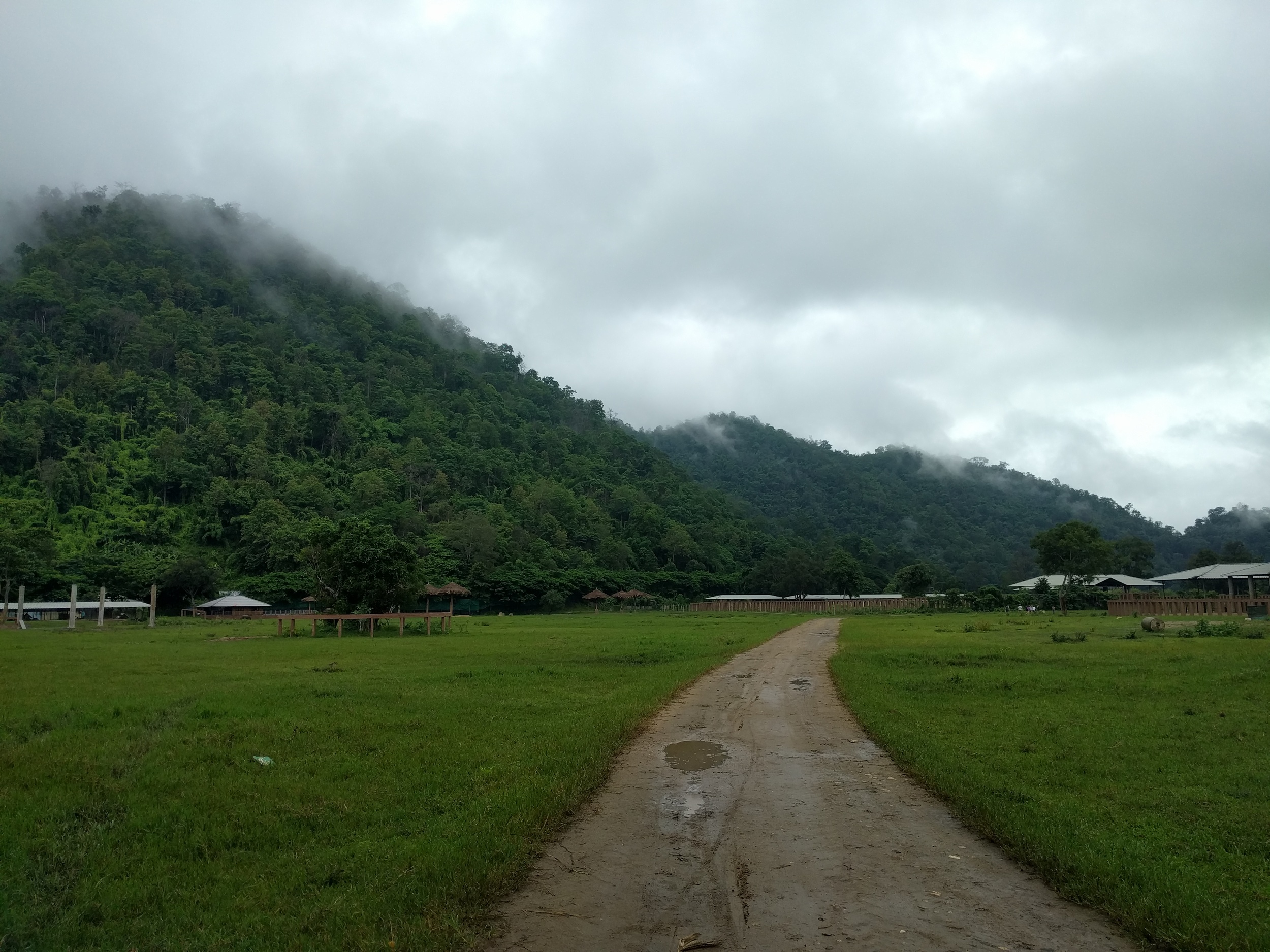 A road up to the new baby in the park. 