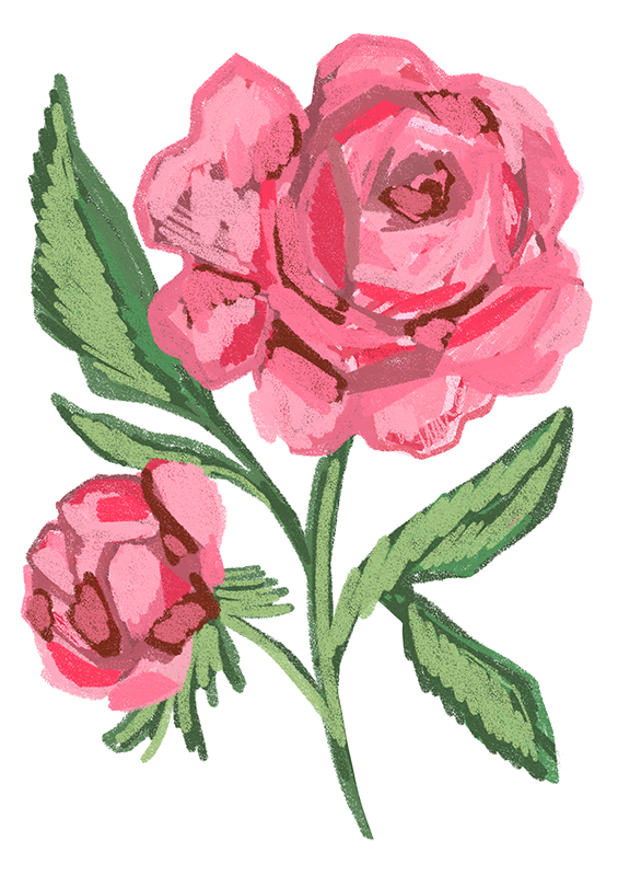 Indiana_-_Peony_Updated.png