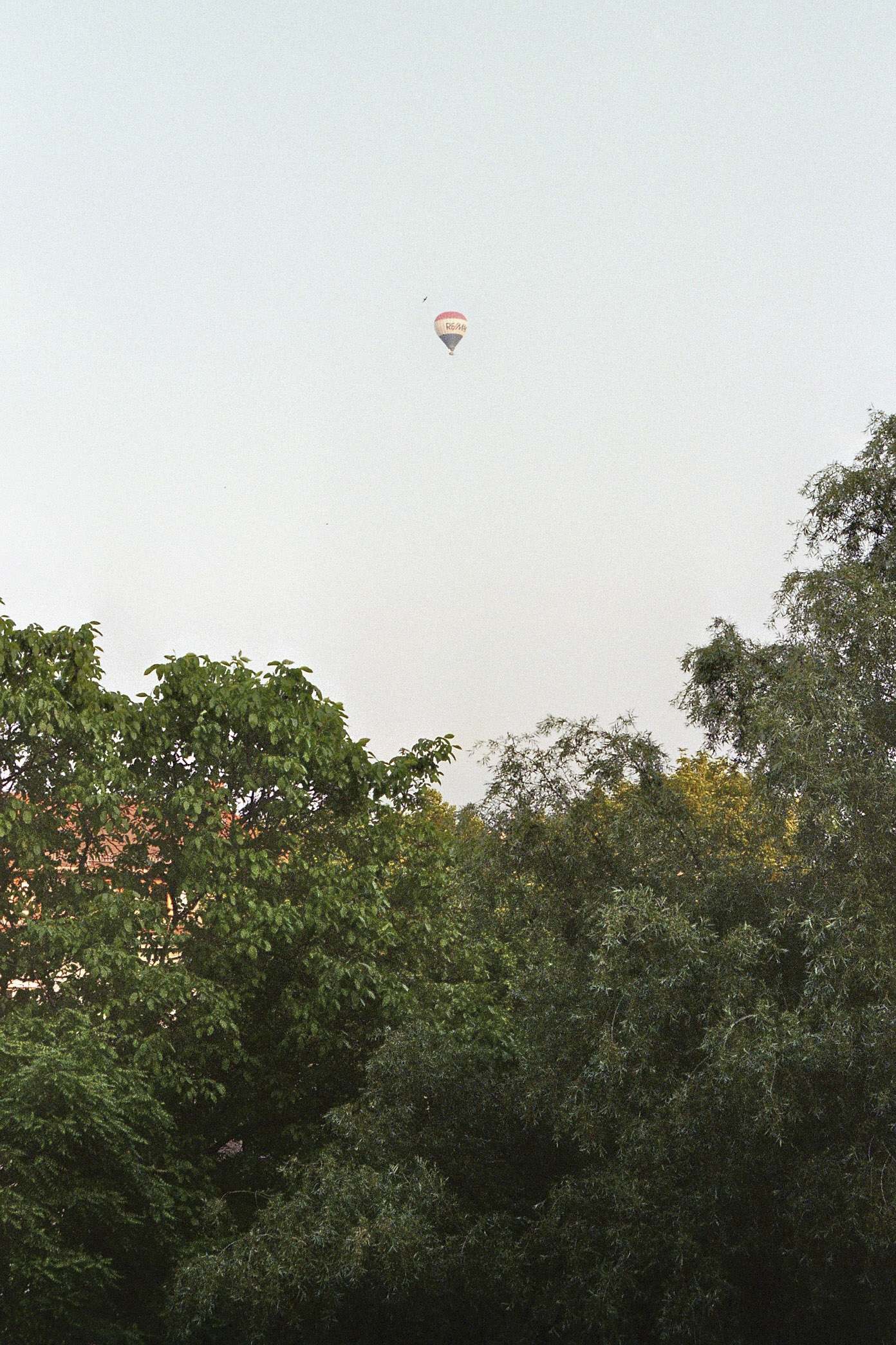 Bild010_Neg.Nr.10_72dpi.jpg