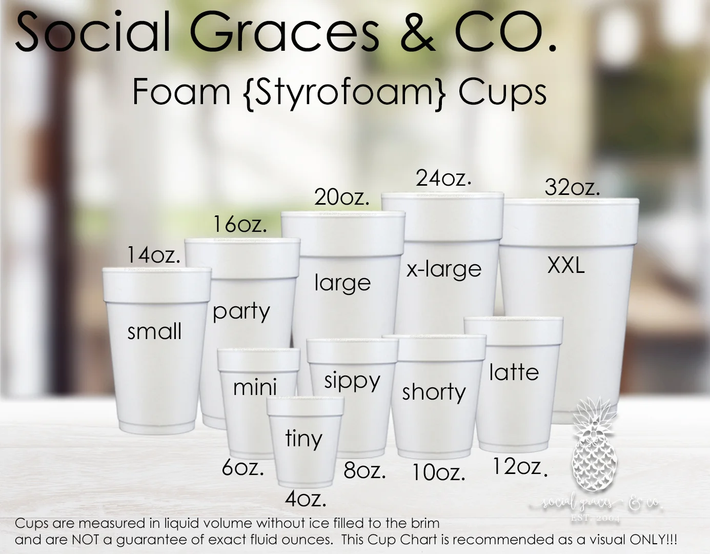 2018_Styrofoam_Cup_Size.jpg