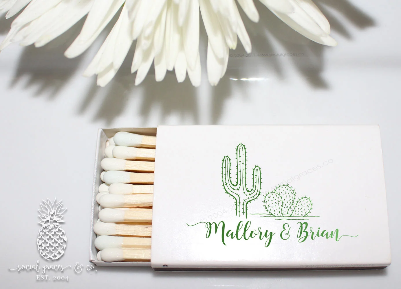 desert_cactus_wedding_matches.jpg
