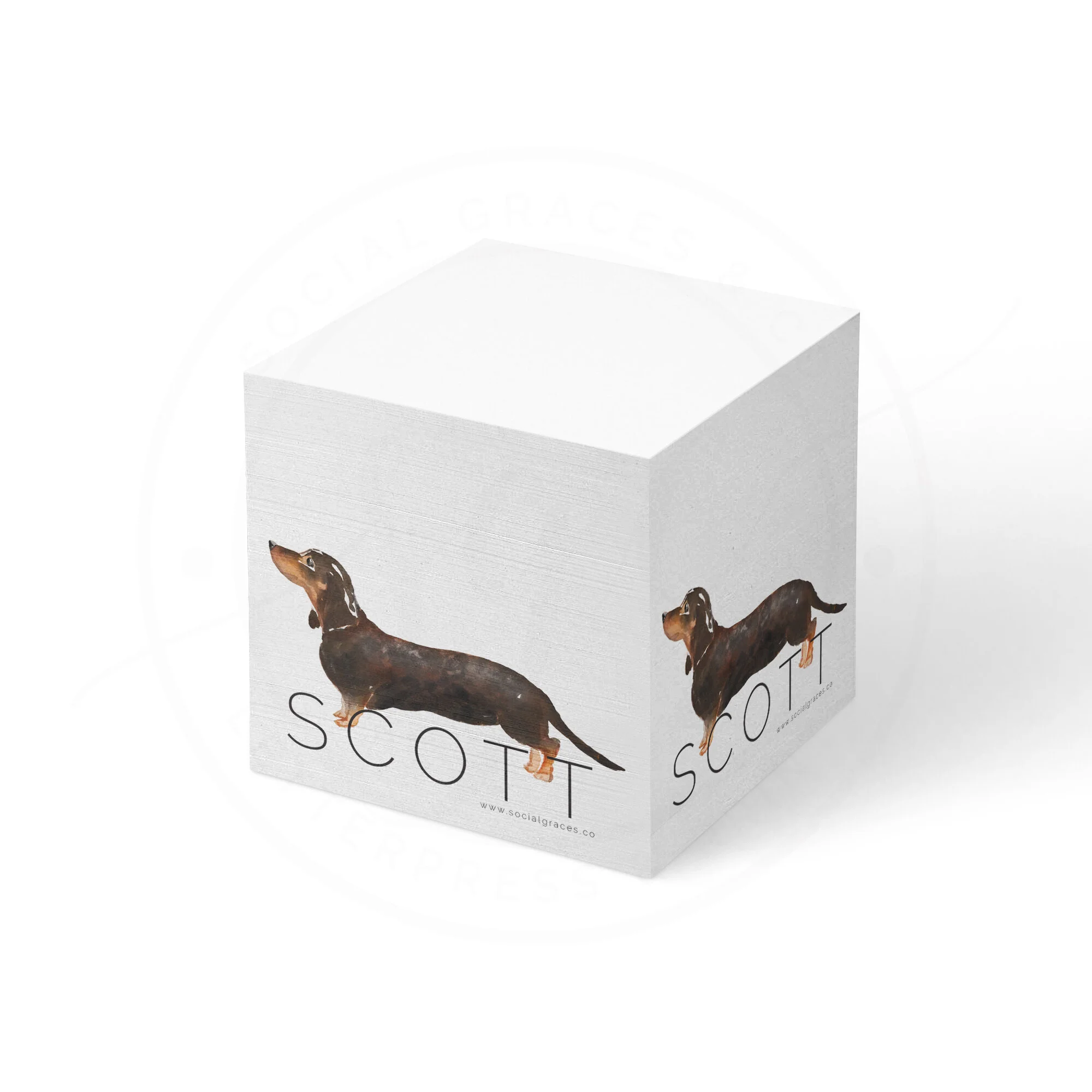 dachshund_note_cube.jpg