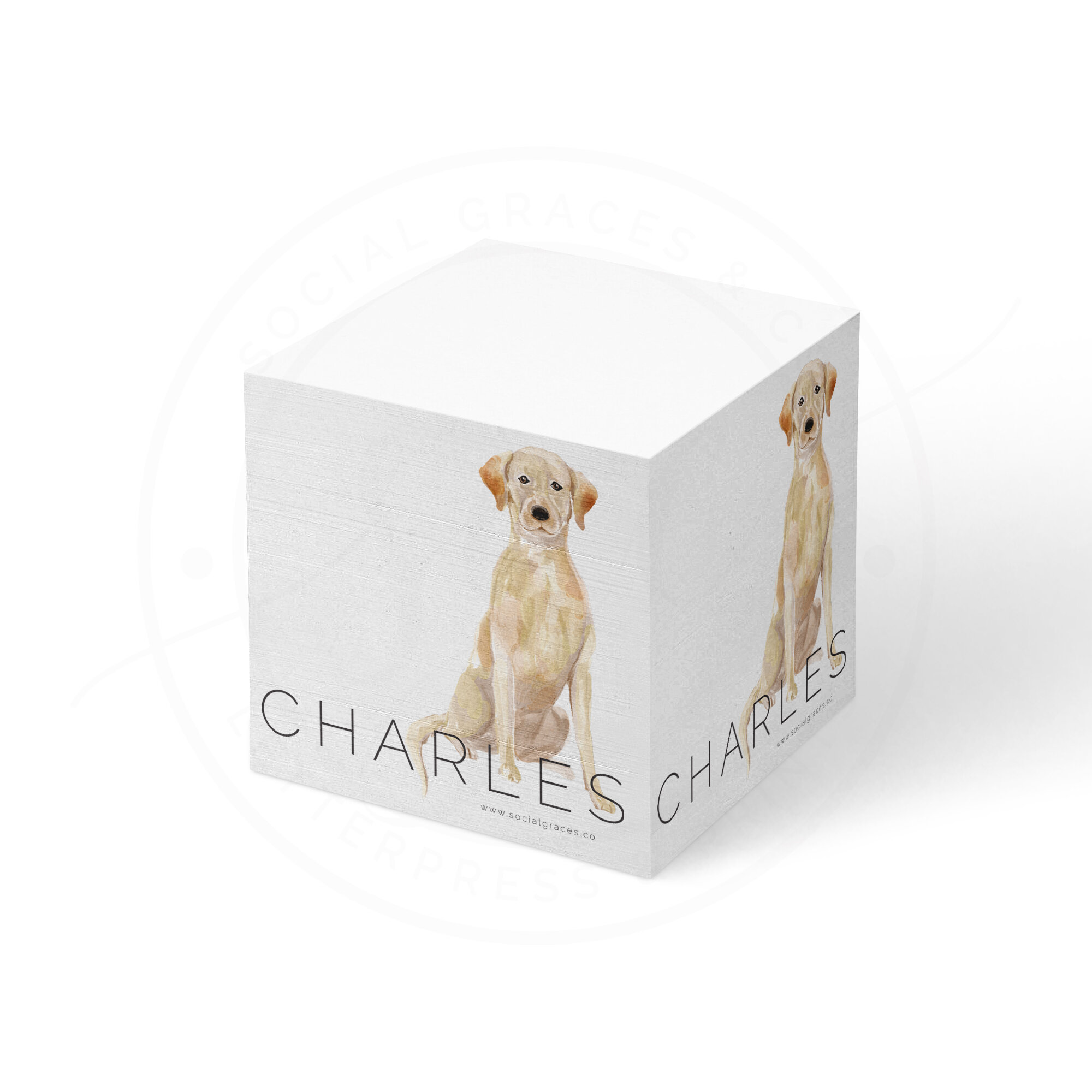 Yellow Lab | Memo Cube