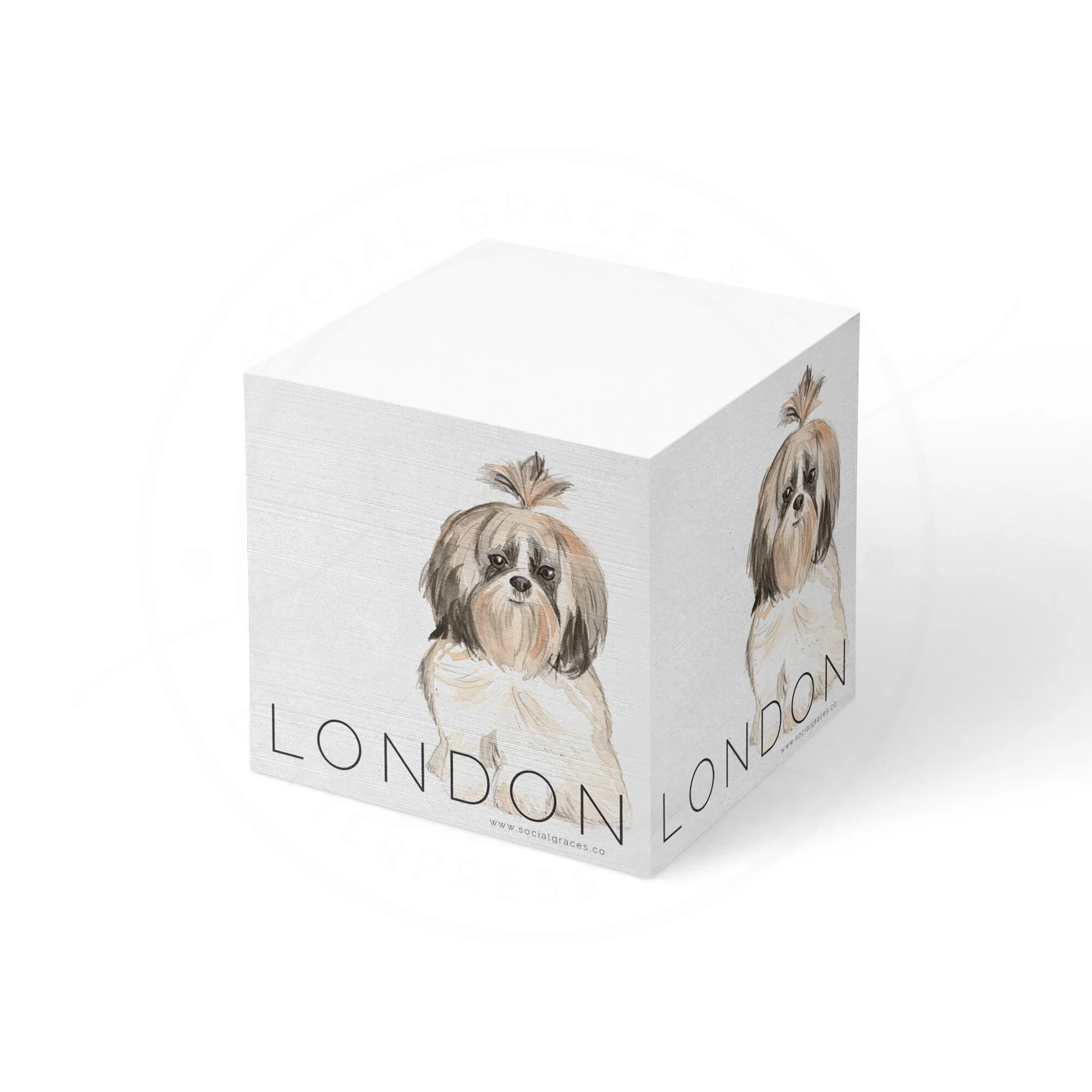 Shih-Tzu_note_cube.jpg