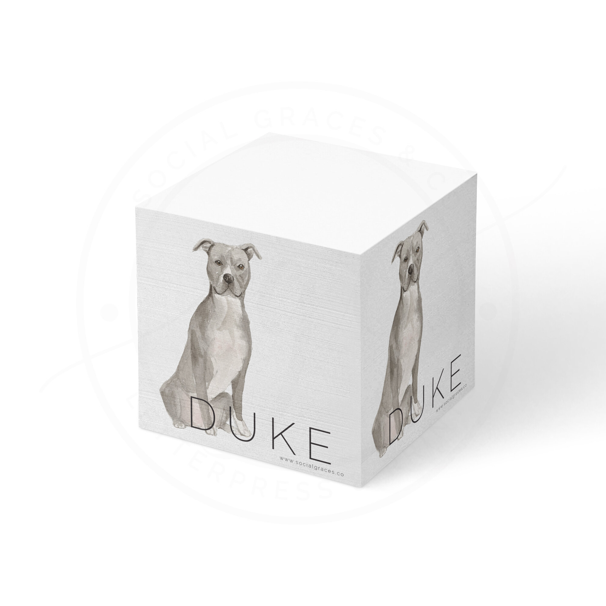 Bull Terrier | Memo Cube