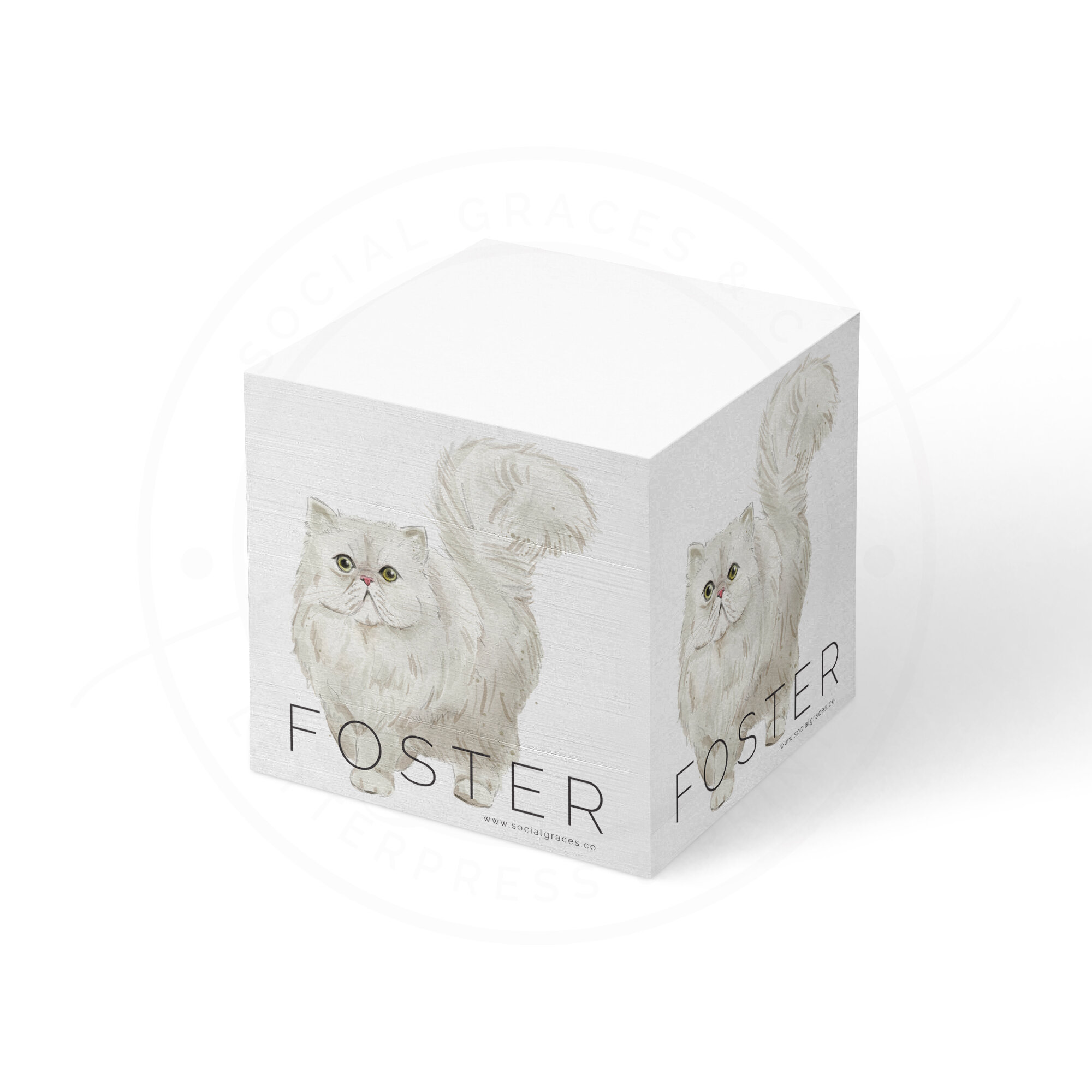 Persian Cat | Memo Cube