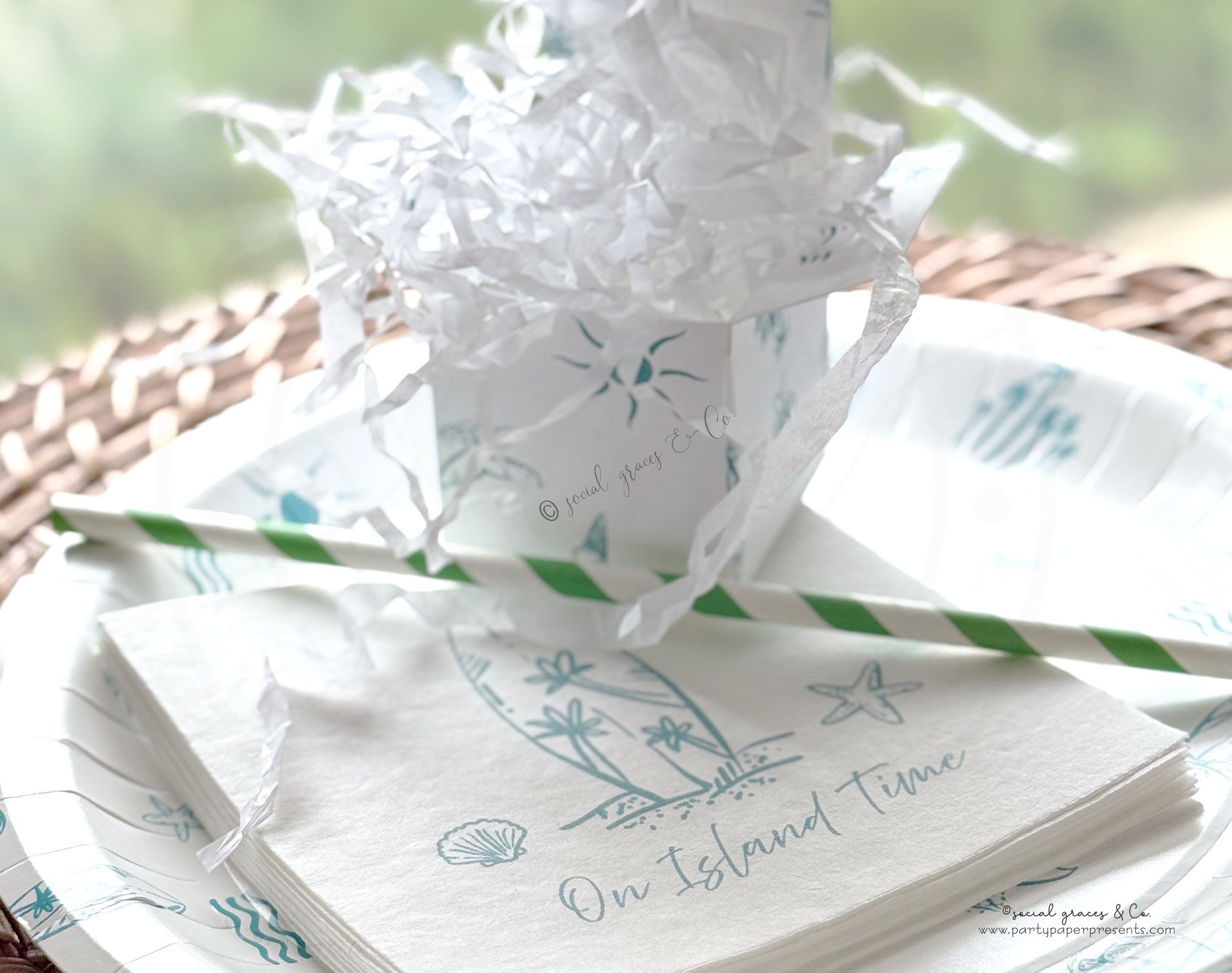 plates, napkins and tiny favor box