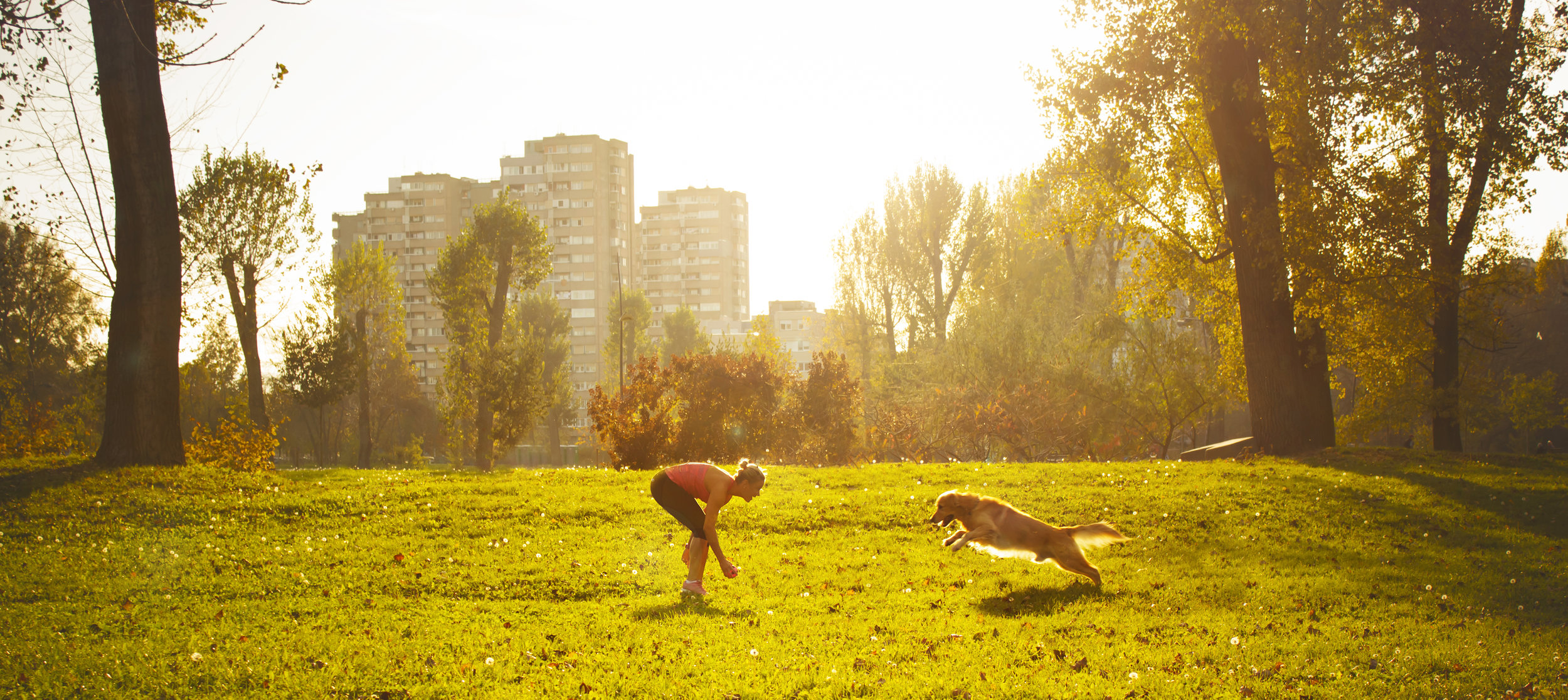 woman playing with dog.jpg