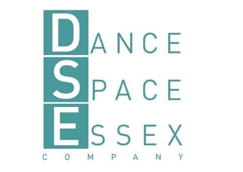 DSE Logo 2018 v3 (2).png